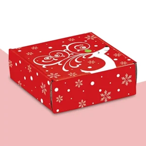 Christmas Mailer Box